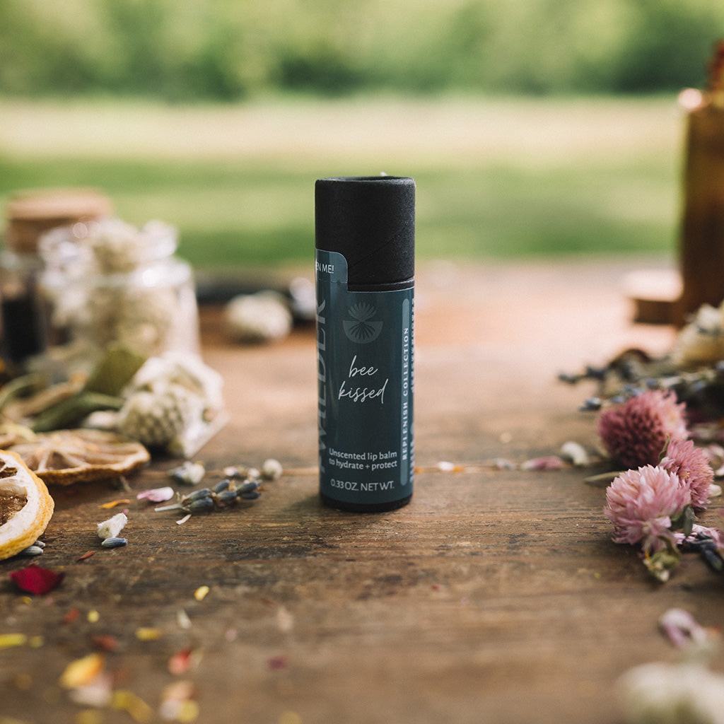 Bee Kissed / buttery lip balm